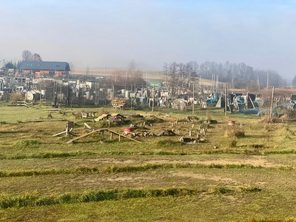 Zespół podczas gry integracyjnej